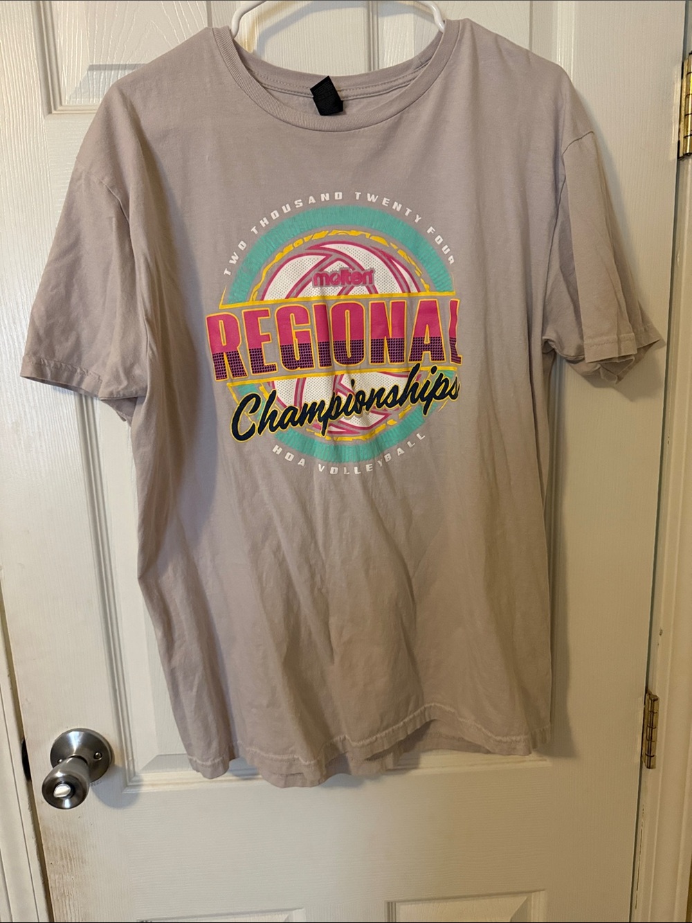Gildan Taupe Regional Championships Graphic Tee